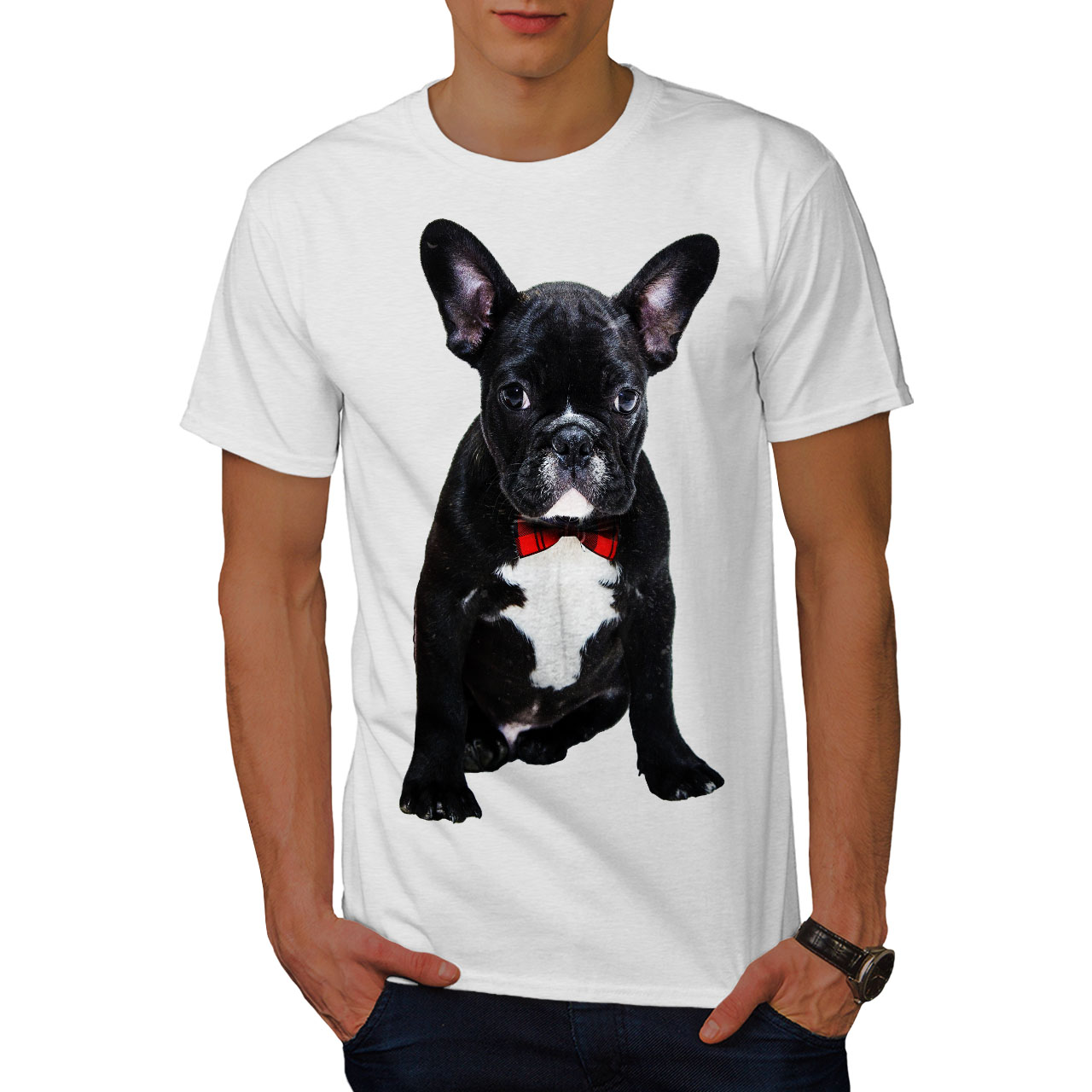 Wellcoda Fancy French Bulldog Mens Tshirt, Black Graphic Design
